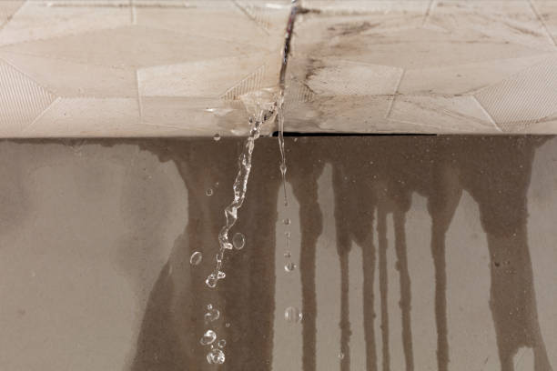 Professional Sewage Cleanup technician working in Oak View, CA